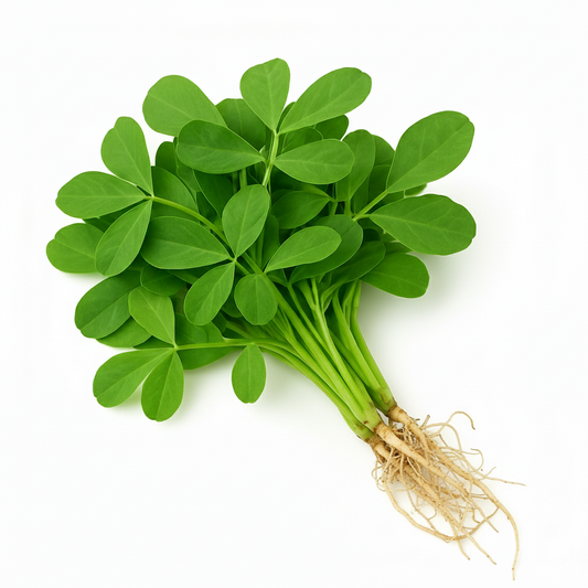 Fenugreek Leaves - Meethi  500g