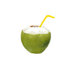 Tender Coconut 1 PC
