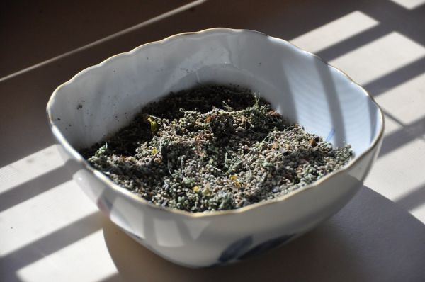 Millet grains in a bowl